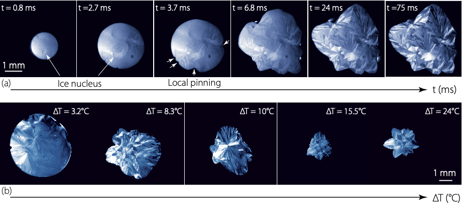 (a) évolution de l'étalement d'une goutte d'eau sur un support à -13°C. La formation des cristaux de glace (flèches) se produit d'abord à l'intérieur, puis sur la ligne de progression de l'étalement. (b) formes finales de la goutte obtenues à différentes températures.