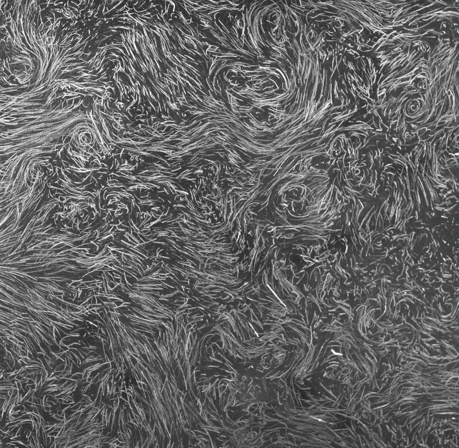 Image des trajectoires de traceurs de 50 µm dans un plan horizontal de 30 cm par 30 cm au sein de la turbulence tridimensionnelle. Paramètres d’injection d’énergie : 55 particules magnétiques ; champ magnétique alternatif de fréquence 20 Hz et d’amplitude 294 G. ©J.-B. Gorce et E. Falcon
