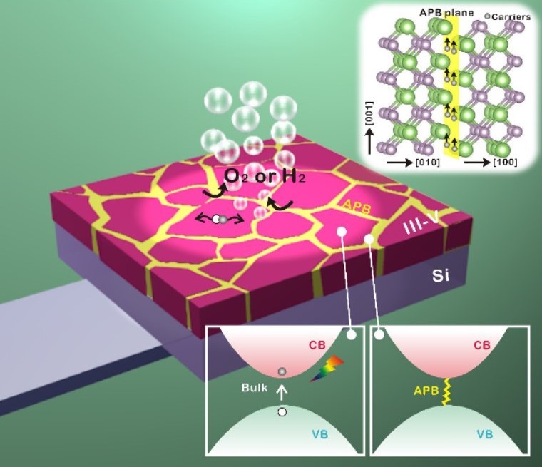 Représentation schématique d’une photo-électrode associant une couche mince (typiquement 1µm) de semi-conducteur III-V (rose) et un substrat de Si (violet), pouvant servir en anode ou en cathode. [La surface supérieure de la photo-électrode, composée de matériaux III-V, est en contact avec l’électrolyte, et la surface inférieure du substrat de Si est en contact avec un matériau conducteur, connecté à la contre-électrode.] Le cristal III-V contient des parois (jaune) qui possèdent un caractère métallique, contrairement aux domaines principaux du matériau (rose) qui ont un comportement semi-conducteur. © Charles Cornet