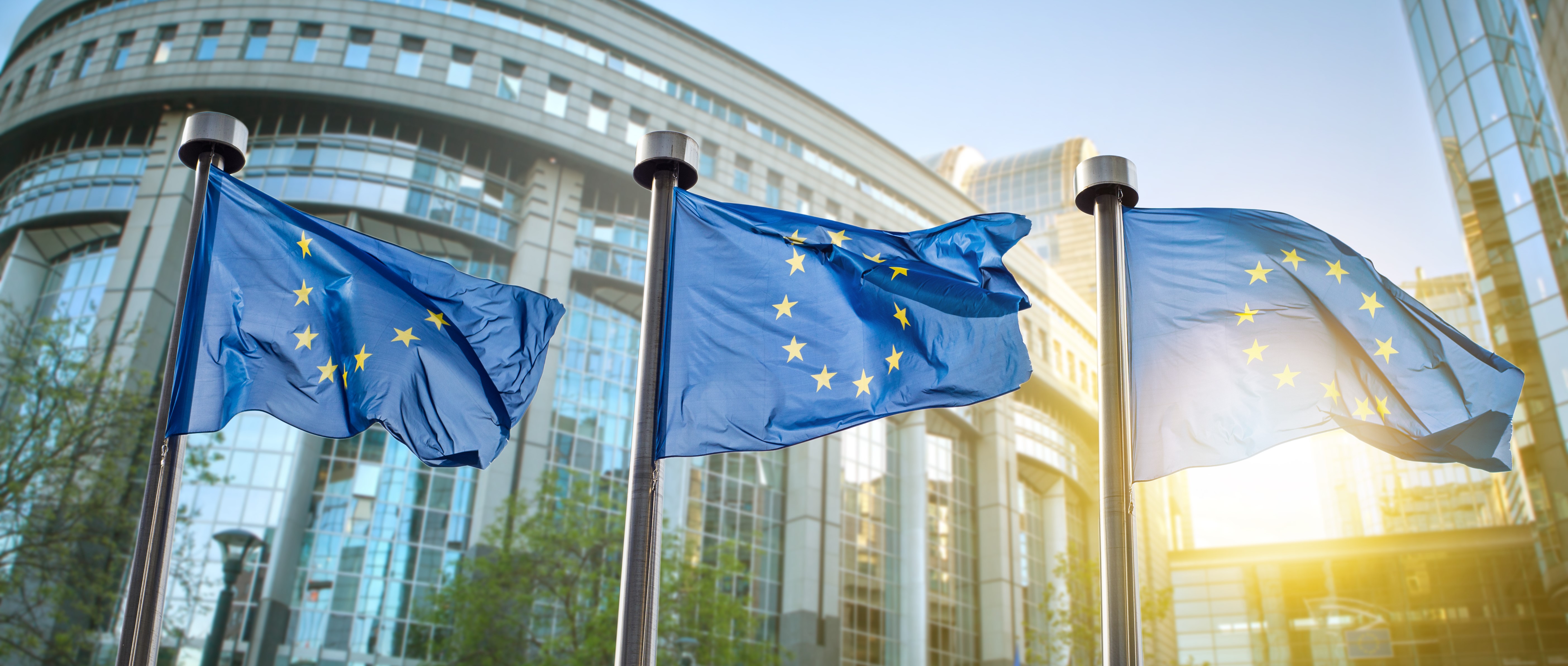 Appel à projet AMORCE 2024 – Appui au Montage de projet de Recherche en Coordination Européenne
