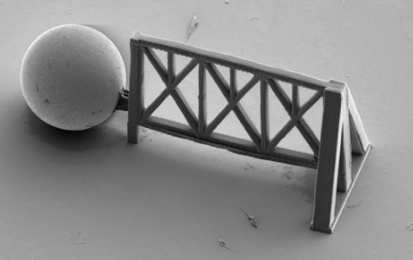 Des supports déformables de culture cellulaire par micro-impression 3D