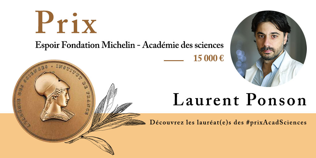 Prix Académie des Sciences - Laurent Ponson