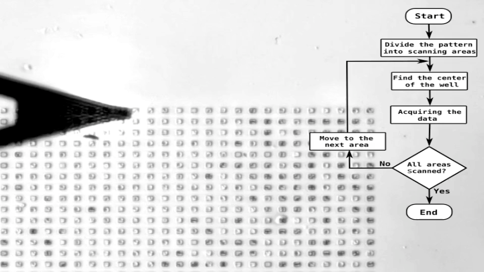 Déplacement de la pointe AFM pour effectuer automatiquement les mesures sur chaque cellule.