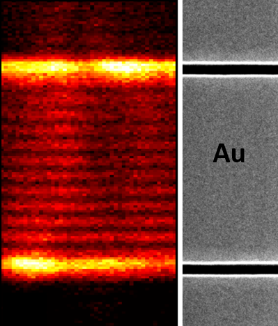 Frange d’Young dans le champ proche. La distance entre les deux fentes est 6.24 µm © Lionel Aigouy, LPEM