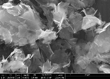 Micrographie MEB de nanoparticules de graphite. © M. Ponçot, Institut Jean Lamour