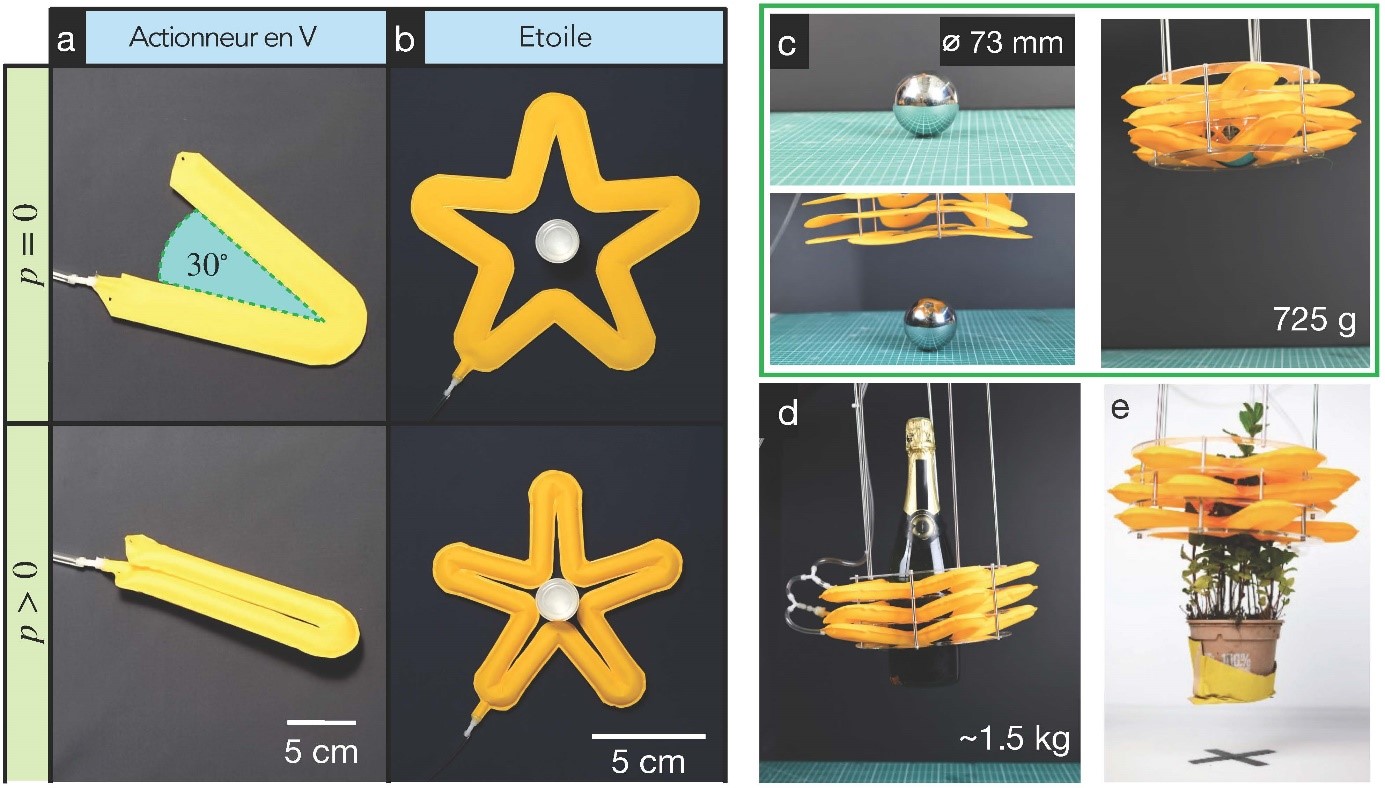 Une pince de robot pour manipuler des objets fragiles, lourds et de formes irrégulières