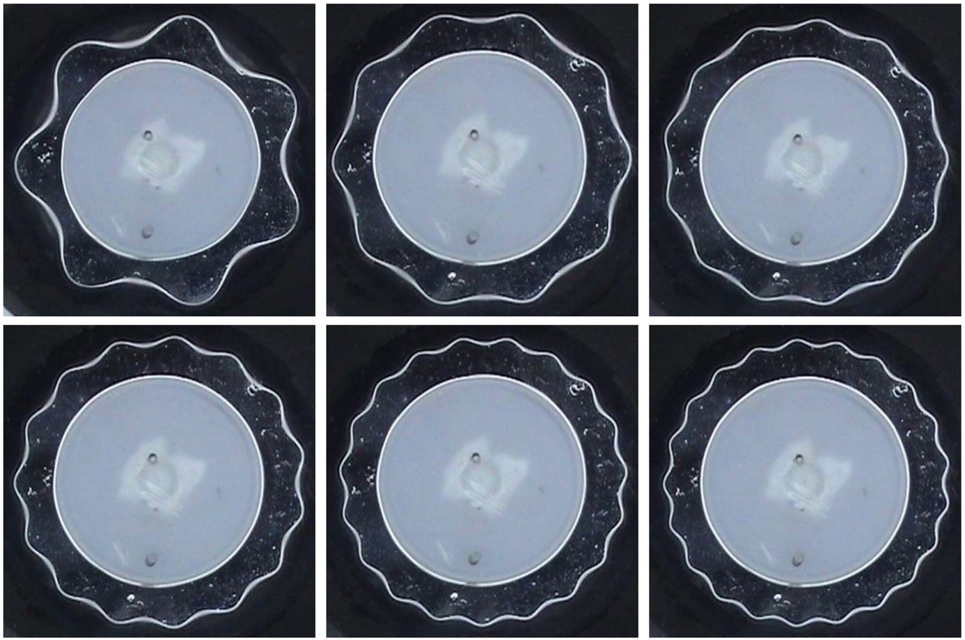 Vue de dessus du motif observé à la périphérie extérieure d’un anneau de mercure soumis à des vibrations. Le nombre de lobes augmente avec la fréquence de la vibration (respectivement de gauche à droite, de haut en bas). La zone grise correspond au cylindre solide central. Diamètre du tore ~ 4 cm.