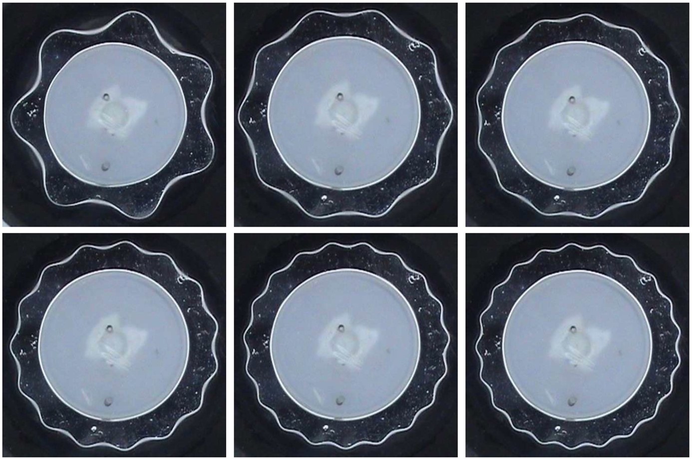 Vue de dessus du motif observé à la périphérie extérieure d’un anneau de mercure soumis à des vibrations. Le nombre de lobes augmente avec la fréquence de la vibration (respectivement de gauche à droite, de haut en bas). La zone grise correspond au cylindre solide central. Diamètre du tore ~ 4 cm. 