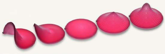 Baromorphes : des matériaux gonflés souples bio-inspirés