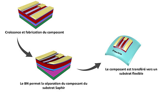 Image retirée.