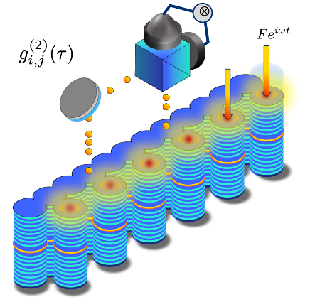 Image schématique d’un réseau de microcavités à polaritons qui sera développé au cours du projet ARQADIA. © N. Carlon Zambon, C2N