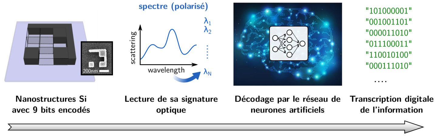 © CNRS