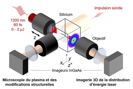 Image retirée.