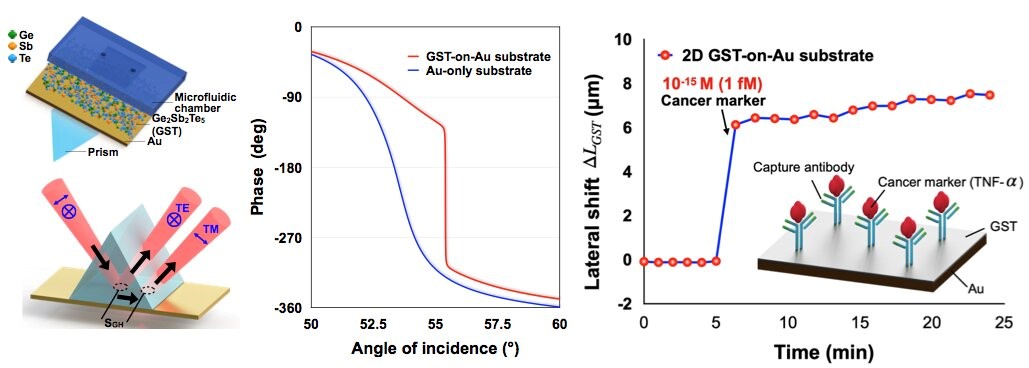 Schéma du capteur SPR fondé sur une fine couche de GST et une couche d’or déposées sur un substrat en verre (à gauche). Variation de la phase de l’onde optique induite par le capteur comparé avec un capteur SPR fondé sur seulement une couche d’or (au centre). Détection en temps réel du biomarqueur TNF-α (à droite). © Imprimé avec la permission de Springer Nature sous la licence Creative Commons