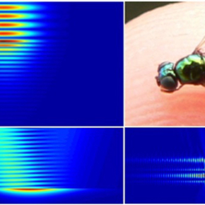 Moosh : un logiciel de simulation photonique pour comprendre la complexité de la lumière