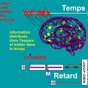 Le cerveau et la lumière au centre d’une nouvelle architecture des ordinateurs