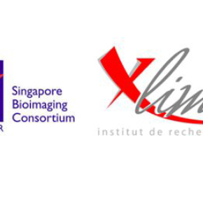 Le laboratoire XLIM et le Singapore BioImaging Consortium s'associent pour développer des plateformes de bio-détection ultra-sensibles